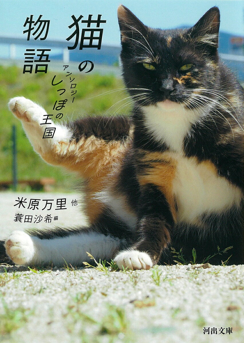 骨の髄までねこの魅力にやられたひとたちの猫讃歌集。定番あり、異色あり。小説ありマンガあり。天上から使わされたかれらかの女らがまだ野良と家庭を往き来し、自然とともにあった頃の愛らしい姿もとどめられます。どの頁からもキャッツ愛がにじみでる、ありのままでそばにいてくれるだけでいい一冊。