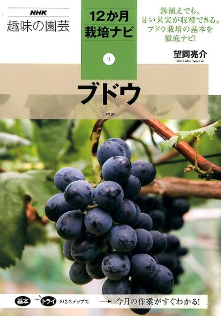 ブドウ （NHK趣味の園芸12か月栽培ナ