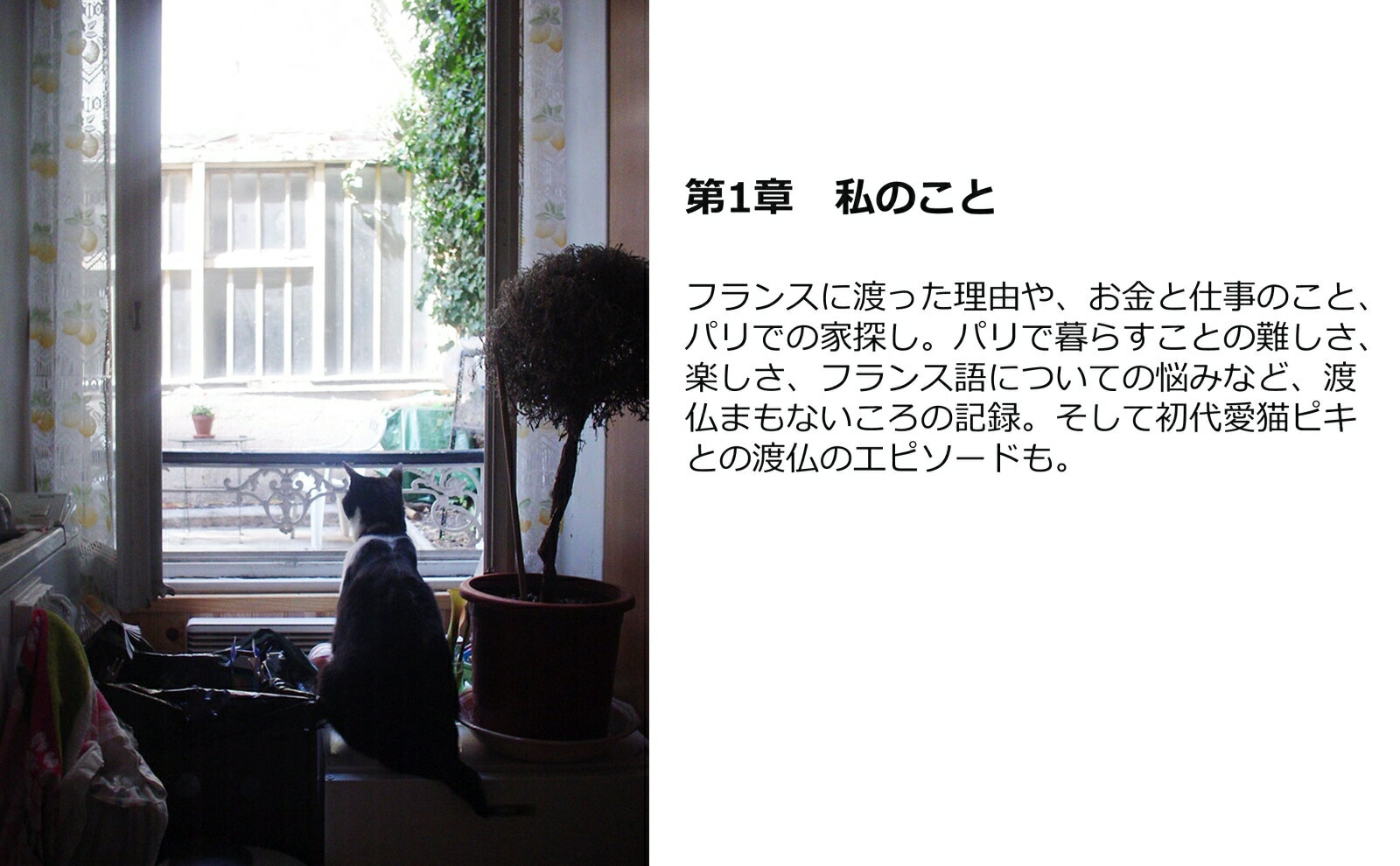 パリ季記　フランスでひとり＋1匹暮らし [ 猫沢エミ ]