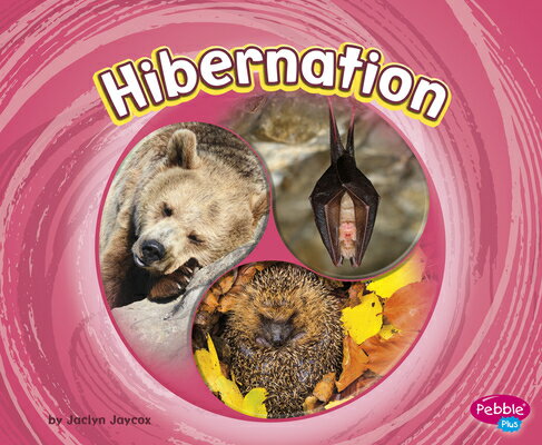 Hibernation HIBERNATION （Cycles of Nature） [ Jaclyn Jaycox ]