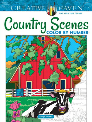 COUNTRY SCENES:COLOR BY NUMBER(P)