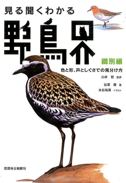 見る聞くわかる野鳥界（識別編） 色と形、声としぐさでの見分け方 [ 石塚徹 ]