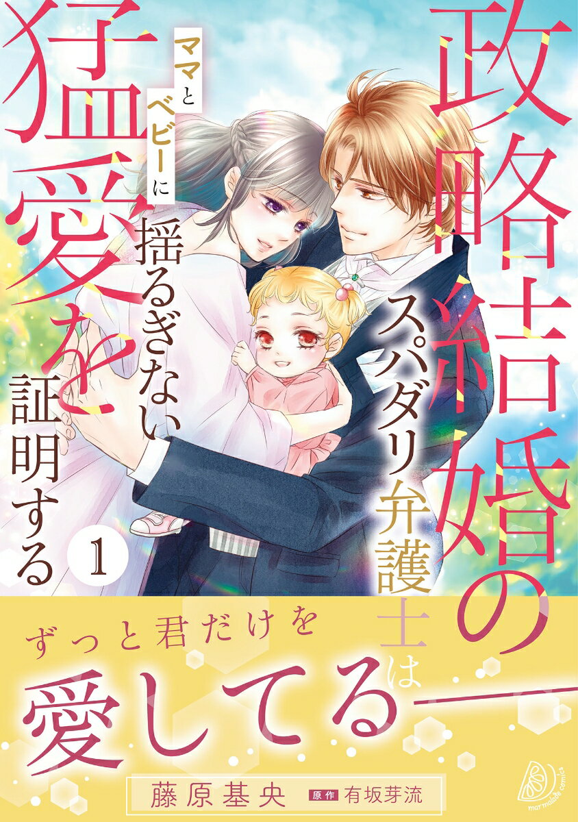 政略結婚のスパダリ弁護士はママとベビーに揺るぎない猛愛を証明する 1