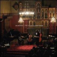 【輸入盤】Live At Saint-elisabethkerk