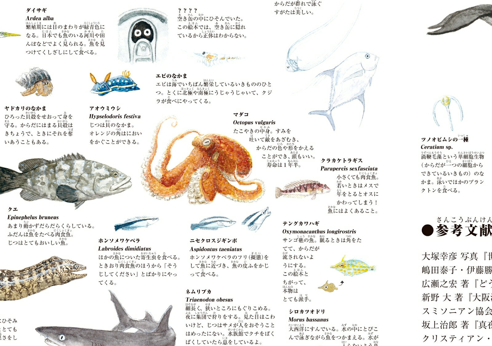 うみがめぐり -自然をみつめる絵本ー [ かわ...の紹介画像3