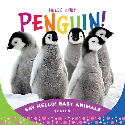 Hello Baby Penguin! PNGN （Say Hello! Animals） [ Beverly Rose ]