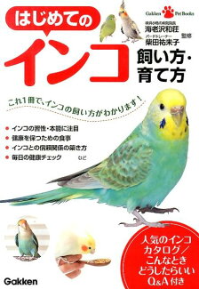 はじめてのインコ飼い方・育て方の表紙