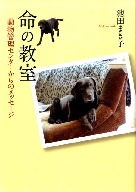 命の教室 動物管理センターからのメッセージ （イワサキ・ノンフィクション） [ 池田まき子 ]のサムネイル