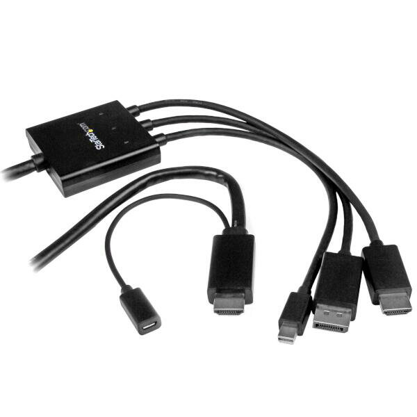 HDMI /DisplayPort /Mini DisplayPort - HDMI 変換アダプタケーブル 2m HDMI/ディスプレイポート/ミニディスプレイポート（オス） - HDMI（オス）