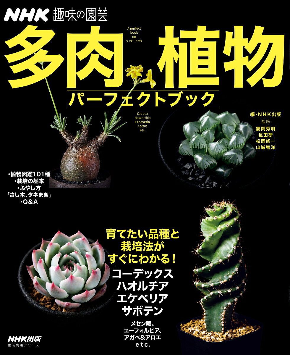 NHK趣味の園芸 多肉植物 パーフェクトブック 生活実用シリーズ [ 鶴岡 秀明 ]