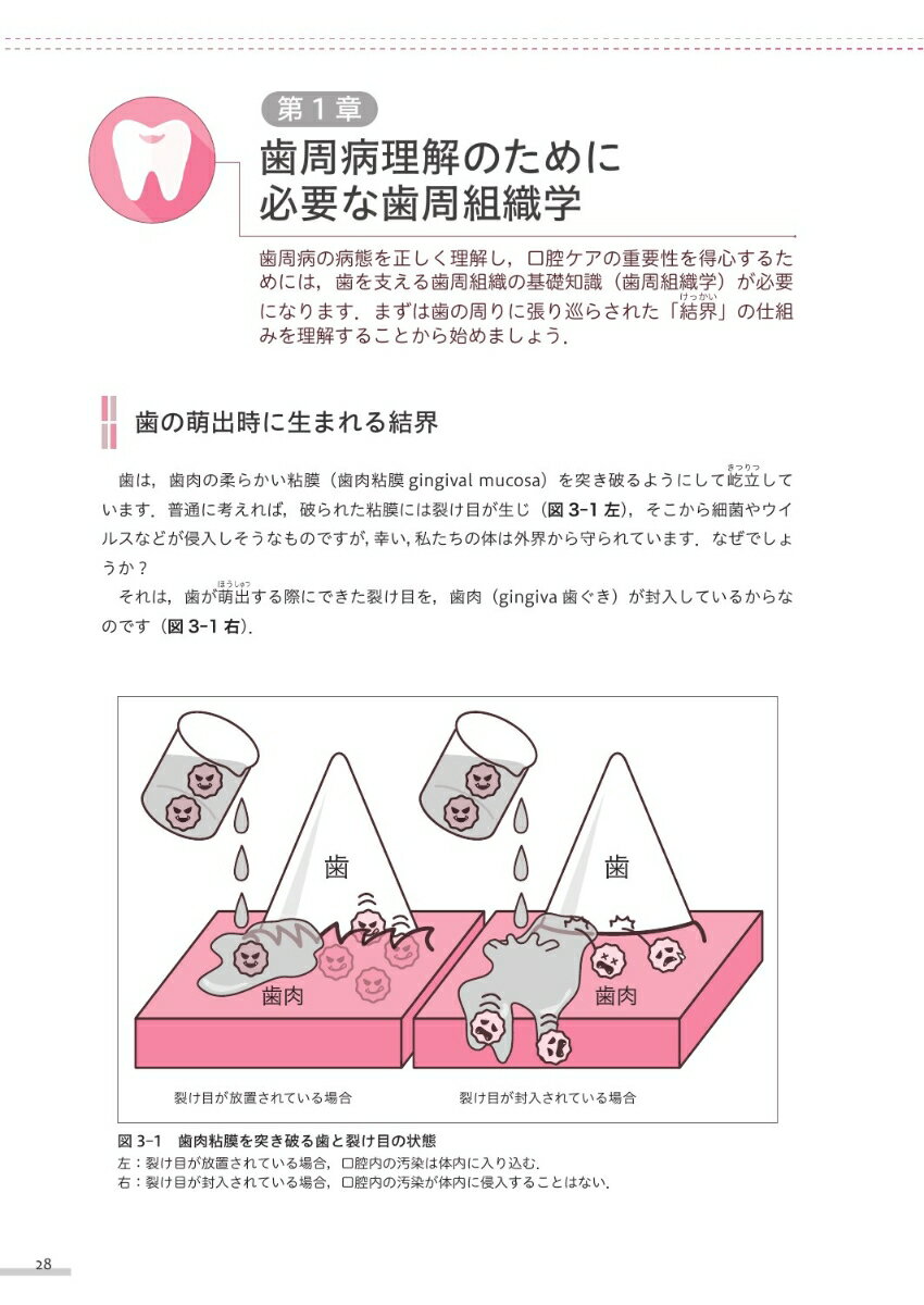 全医療従事者が知っておくべき歯周病と全身のつながり 不健口が寝たきり・糖尿病・アルツハイマー病を招く [ 西田亙 ] 3