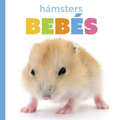 Hmsters Bebs SPA-HAMSTERS BEBES （El Principio de los） Laura K. Murray