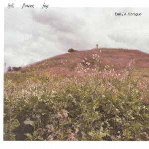 Hill, Flower, Fog [ Emily A.Sprague ]