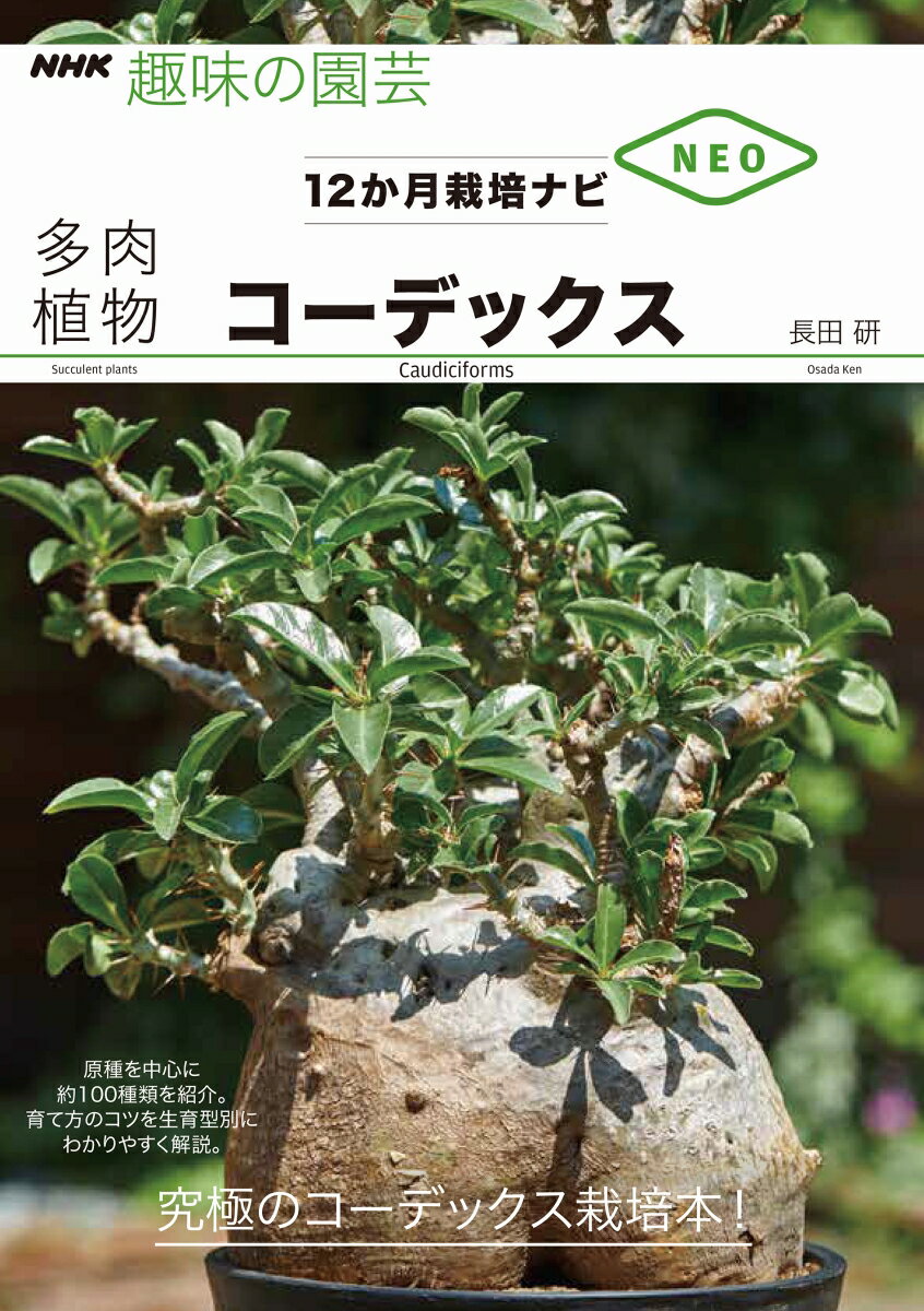 NHK趣味の園芸　12か月栽培ナビNEO 長田 研 NHK出版コーデックス オサダ ケン 発行年月：2019年11月14日 予約締切日：2019年09月17日 ページ数：112p サイズ：全集・双書 ISBN：9784140402856 長田研（オサダケン） 1975年、静岡県生まれ。バージニア大学（アメリカ）で生物と化学を専攻。多肉植物やサボテン、球根などを扱うナーセリー「カクタス長田」で園芸植物の生産、輸出入に携わる。扱う植物に関する専門知識、生産体制は国内トップレベル（本データはこの書籍が刊行された当時に掲載されていたものです） 魅惑のコーデックス／手に入れたい、育てたいコーデックス図鑑／12か月栽培ナビ／12か月栽培ナビ作業編／自生地のコーデックス／主な害虫と生理障害＆対策／コーデックス栽培のABC／コーデックス栽培Q＆A 原種を中心に約100種類を紹介。育て方のコツを生育型別にわかりやすく解説。究極のコーデックス栽培本！ 本 ビジネス・経済・就職 産業 農業・畜産業 美容・暮らし・健康・料理 ガーデニング・フラワー 花 美容・暮らし・健康・料理 ガーデニング・フラワー 観葉植物・盆栽