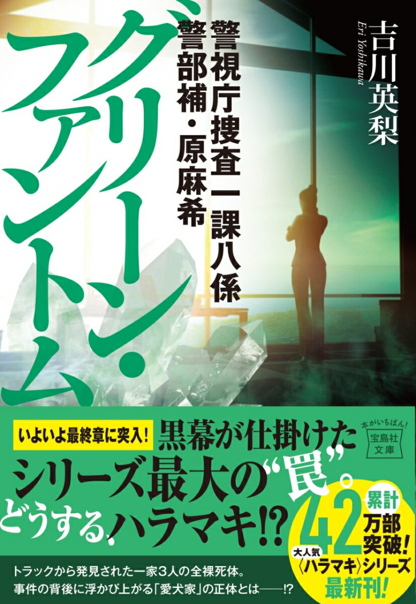 警視庁捜査一課八係 警部補・原麻希 グリーン・ファントム