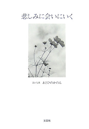悲しみに会いにいく