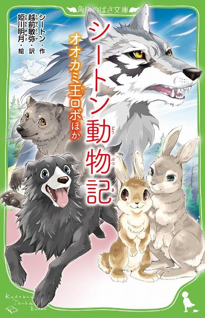 強くかしこく、人間たちには決してつかまらなかった、オオカミ王ロボの一生。ちょっとマヌケだけど、ご主人さまのことが大好きな、シートンの飼い犬ビンゴ。お母さんも兄妹たちも銃で殺され、ひとりぼっちで生きてきた、クマのワーブ。お母さんウサギ・モリーの教えをけんめいに覚えようとする子ウサギのギザ…。ほんとうにあった動物たちの物語に、おもわず涙があふれだす。ぜったいに読んでおきたい名作！小学中級から。