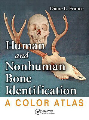 Human and Nonhuman Bone Identification: A Color Atlas HUMAN & NONHUMAN BONE IDENTIFI [ Diane L. France ]