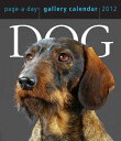 Dog Gallery Calendar CAL 2012-DOG GALLERY [ Workma ...