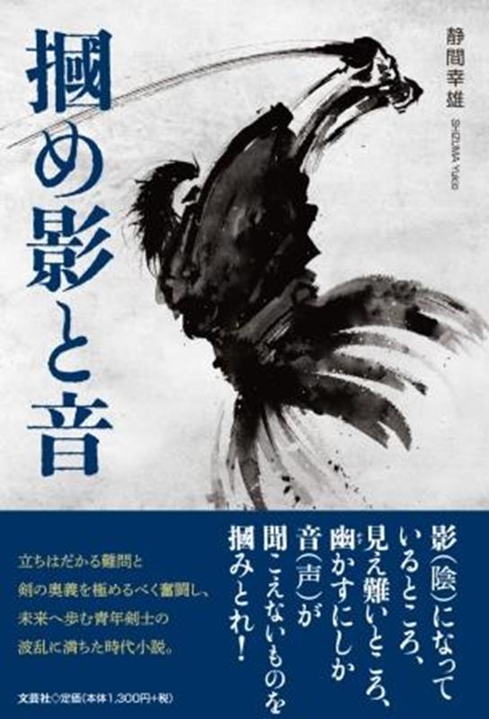 掴め影と音