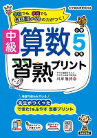 中級算数習熟プリント 小学5年生