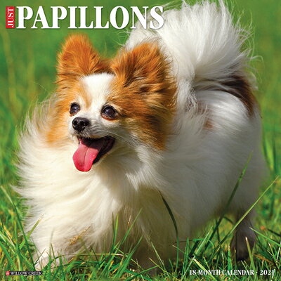 Just Papillons 2021 Wall Calendar (Dog Breed Calendar)