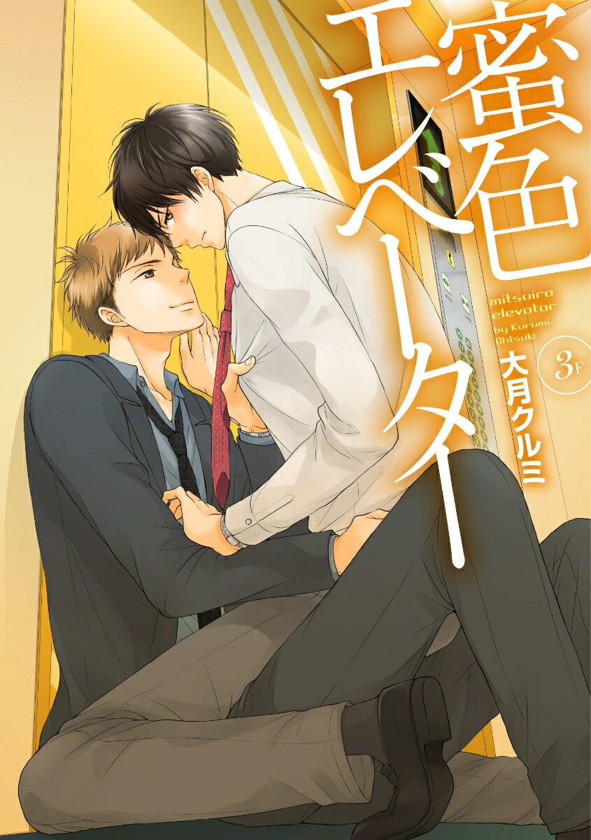 蜜色エレベーター 3F