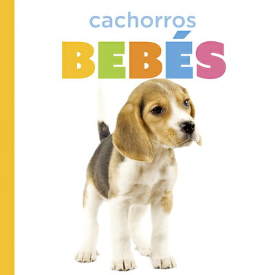 Cachorros Bebs SPA-CACHORROS BEBES （El Principio de los） [ Laura K. Murray ]