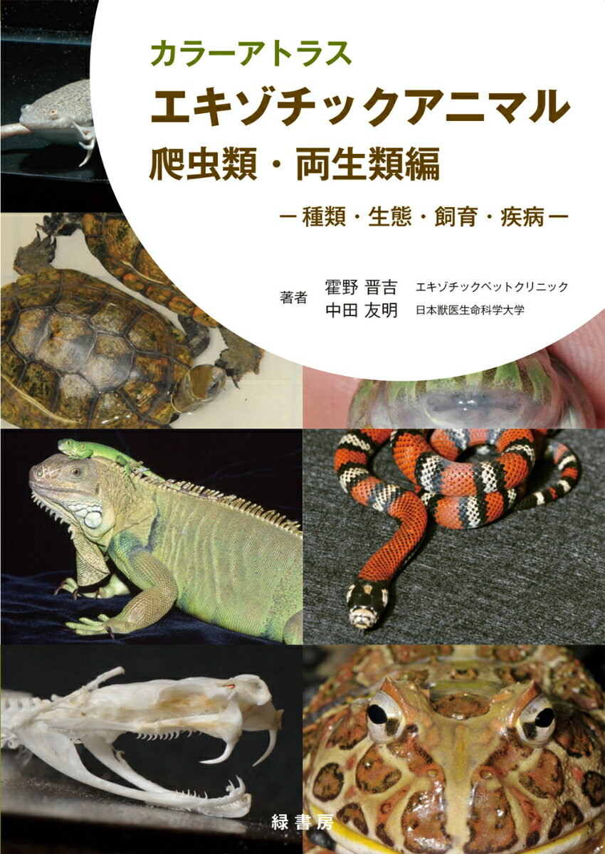 カラーアトラスエキゾチックアニマル 爬虫類・両生類編