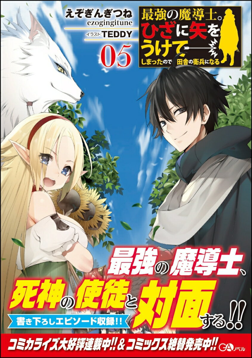 最強の魔導士。ひざに矢をうけてしまったので田舎の衛兵になる5