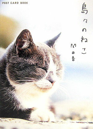 島々のねこ