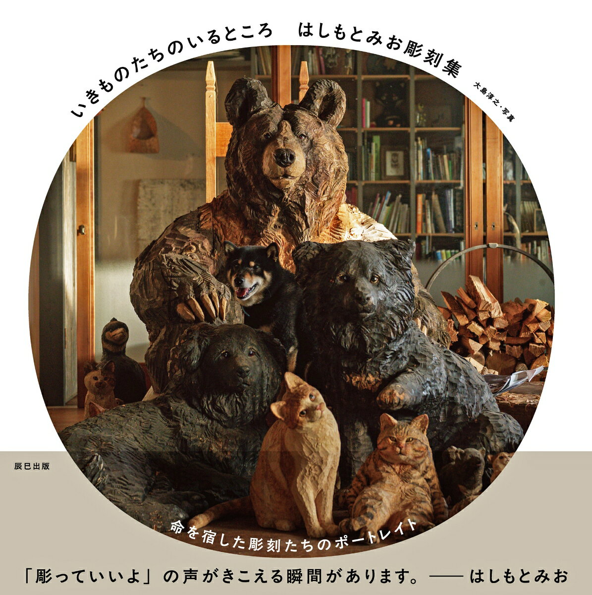 いきものたちのいるところ はしもとみお彫刻集