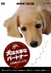 NHK趣味悠々 犬は大事なパートナー 