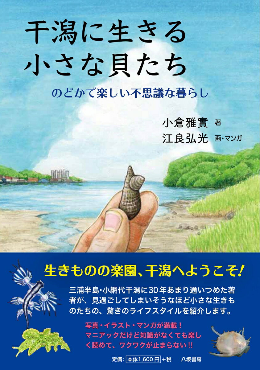 干潟に生きる小さな貝たち：のどかで楽しい不思議な暮らし [ 小倉雅實 ]