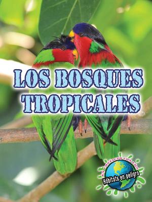 Los Bosques Tropicales: Rainforests SPA-BOSQUES TROPICALES （Eye to Eye with Endangered Habitats） 