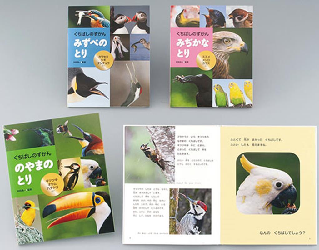 くちばしのずかん（全3巻セット）