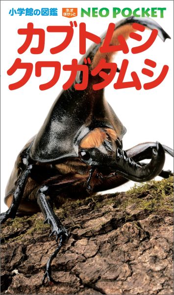 カブトムシ・クワガタムシ （小学館の図鑑NEO POCKET） [ 小池 啓一 ]