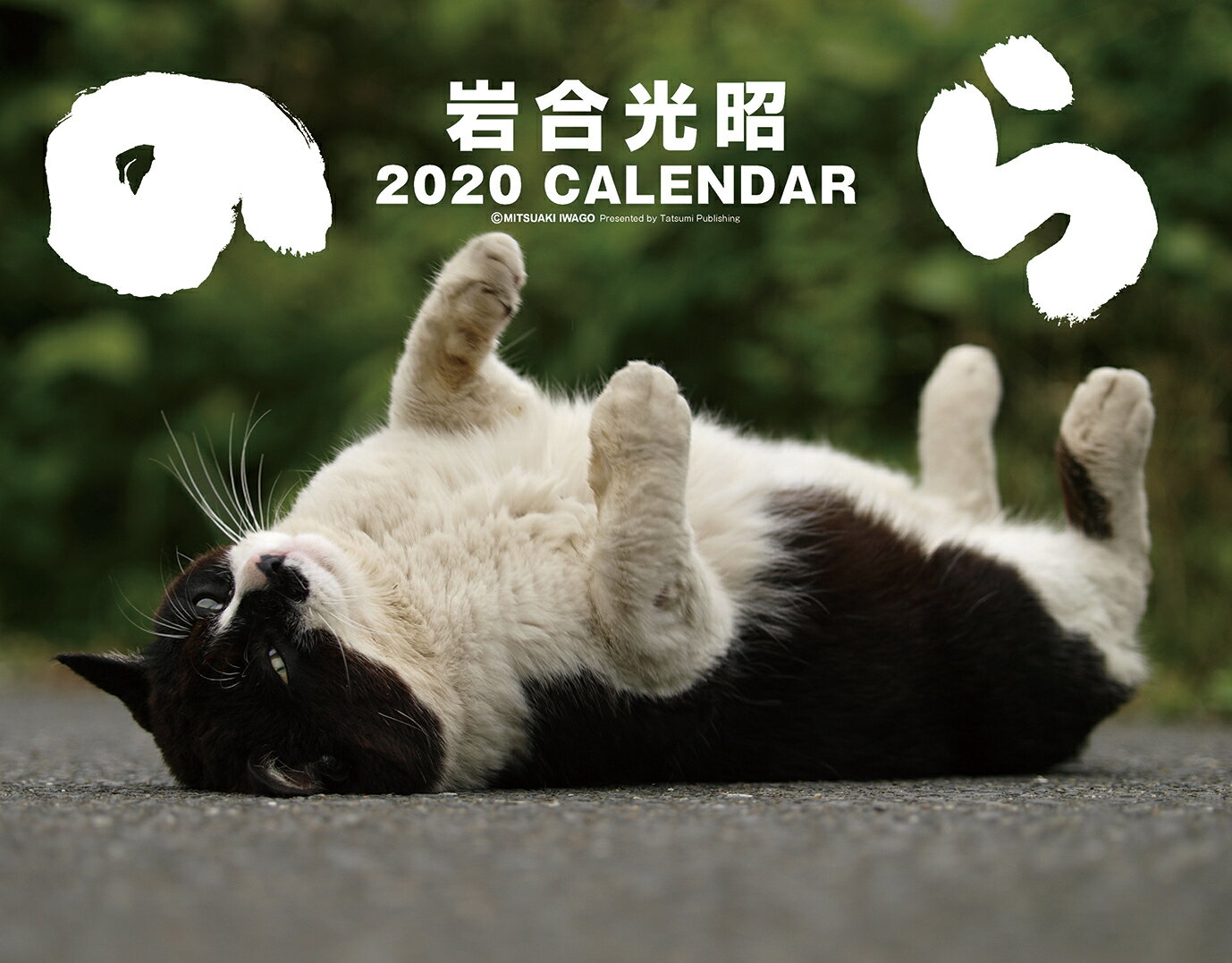 2020猫カレンダー のら