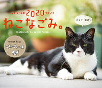 オレンジページ ねこなごみ。卓上カレンダー（2020）