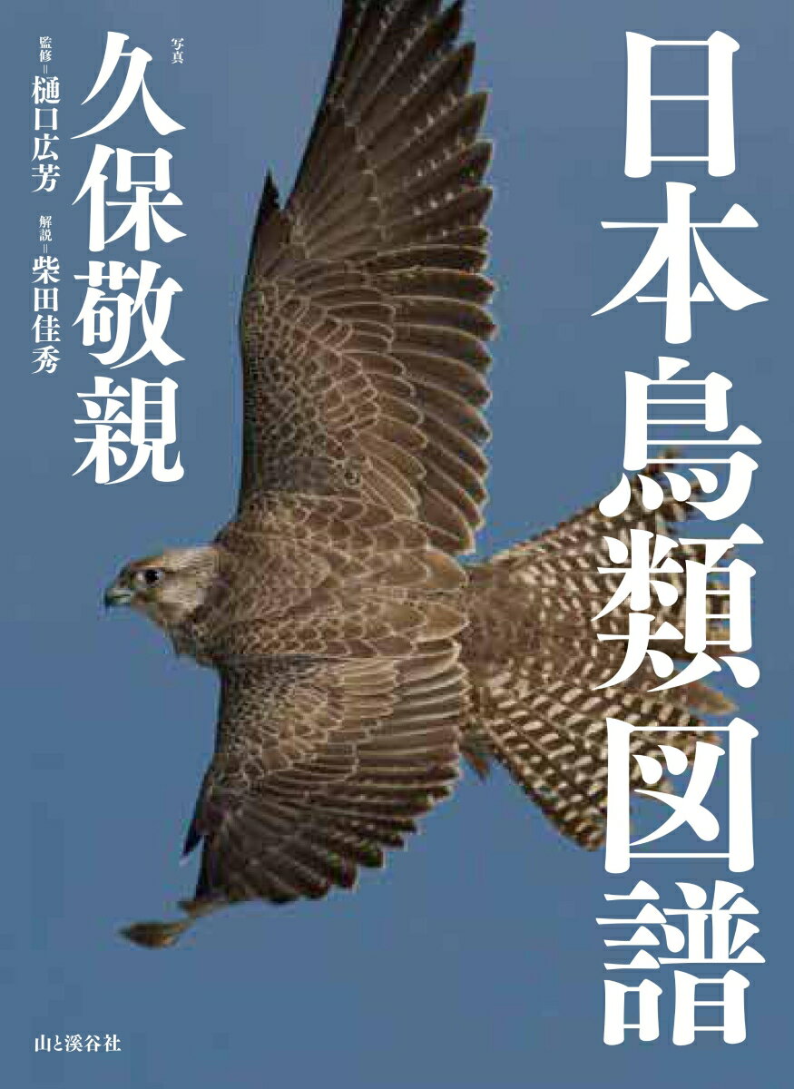 列島に生きる、美しくも力強い鳥たちの姿を見よ。半世紀にわたり日本の野鳥を撮り続けてきた久保敬親の集大成。北海道から南西諸島まで、生息環境別に約２００種類の野鳥を掲載！