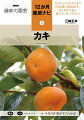 甘ガキから渋ガキまで６０品種を徹底紹介。暑さ寒さに強く、鉢でも、育てやすい！鉢でコンパクトに育てるコツから、庭で大きくなった木の管理方法まで。うまく育てれば、樹齢１００年以上も。お気に入りのカキを、人生の伴侶に！