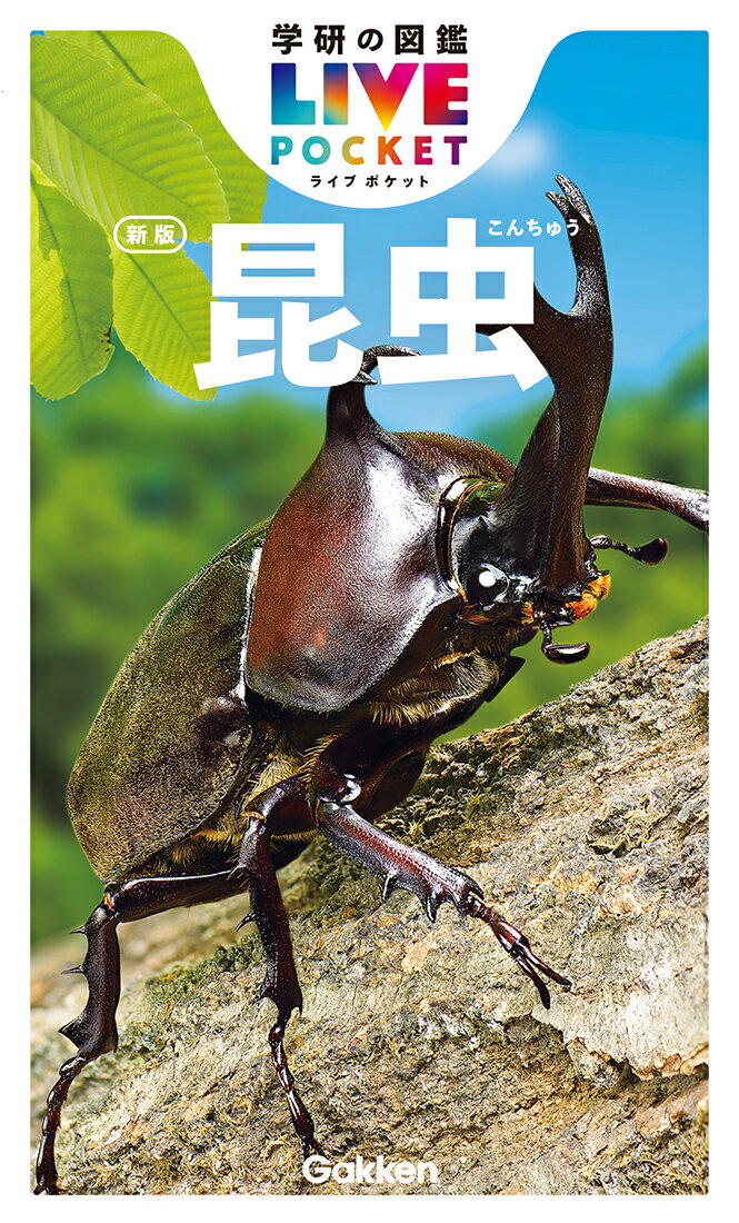 昆虫 新版