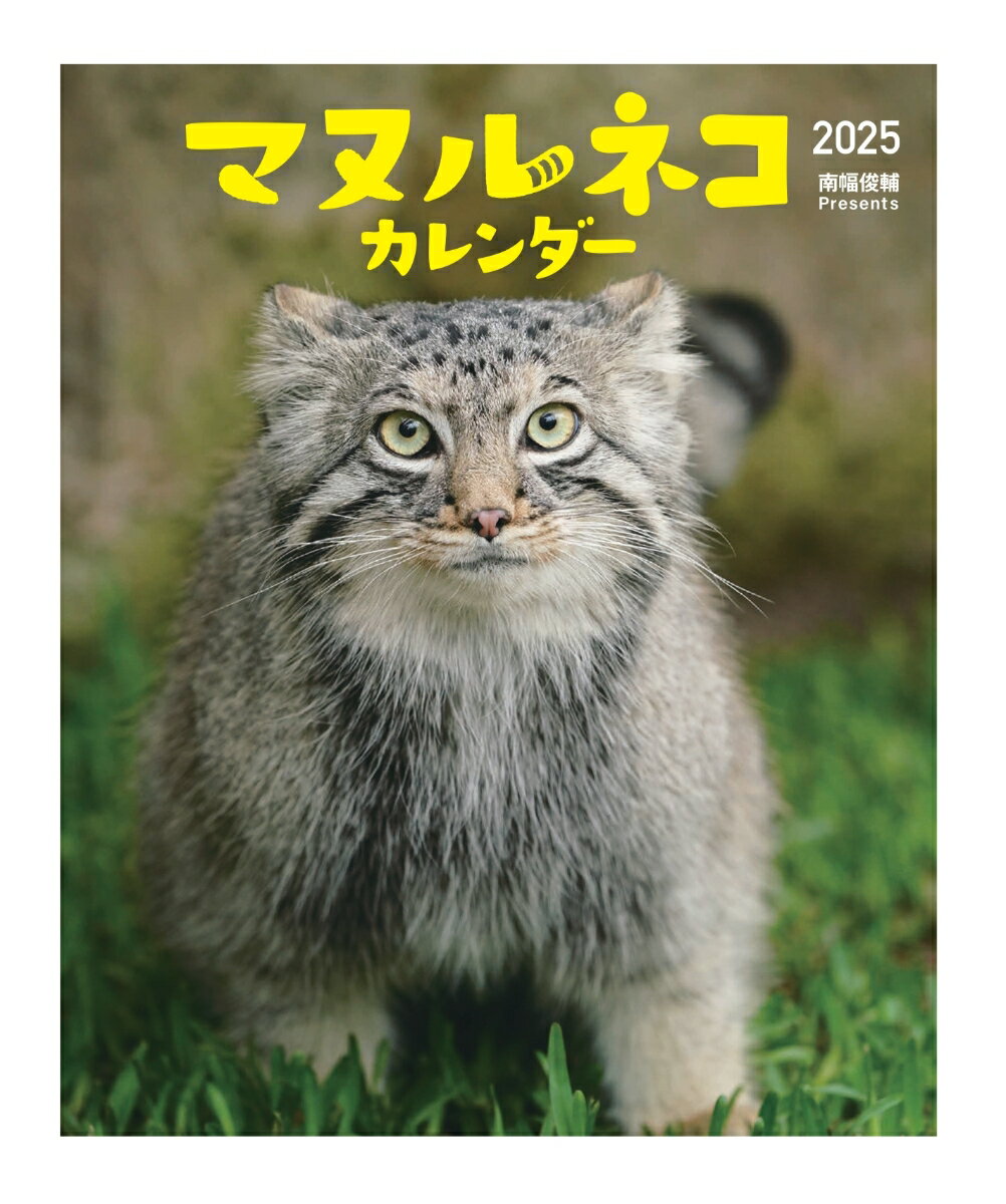 世界文化遺産　海外編カレンダー（2024） （［カレンダー］）