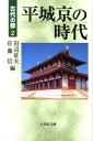 平城京の時代 （古代の都） 