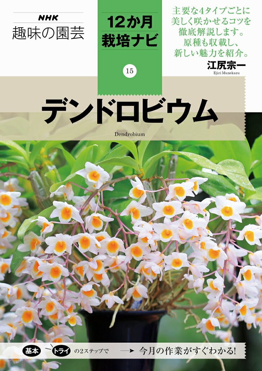 デンドロビウム （NHK趣味の園芸12か月栽培ナビ(15)　15） [ 江尻 宗一 ]