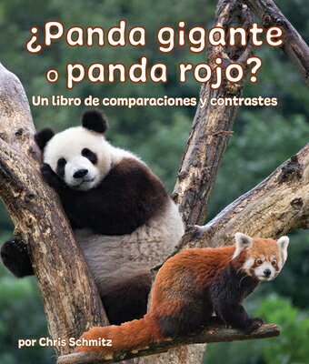 Panda Gigante O Rojo? Un Libro de Comparaciones Y Contrastes: Giant or Red Panda? a Comp SPA-PANDA ROJO （Compare and Contrast） [ Chris Schmitz ]