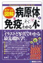 病原体と免疫がよ～くわかる本 ポケット図解 （Shuwasystem　science　guide　book） [ なつみどり ]