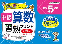 中級算数習熟プリント 小学5年生 大判サイズ