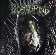 【輸入盤】Seeds Of Abysmal Torment