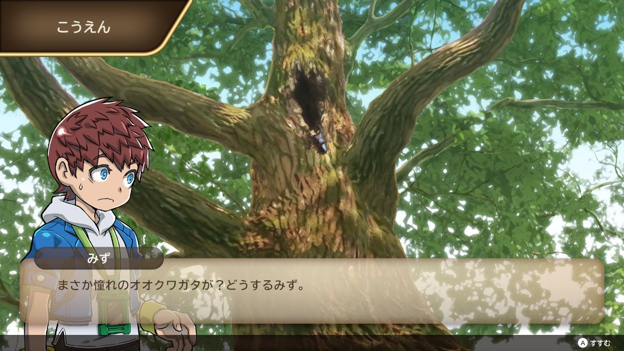 カブトクワガタ デラックス book-21052217 楽天ブックス サンプル画像3
